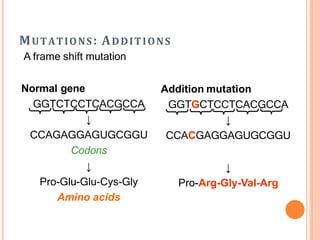 MUTATIONS: ADDITIONS
A frame shift mutation
Normal gene
GGTCTCCTCACGCCA
↓
CCAGAGGAGUGCGGU
Codons
↓
Pro-Glu-Glu-Cys-Gly
Amino acids
Addition mutation
GGTGCTCCTCACGCCA
↓
CCACGAGGAGUGCGGU
↓
Pro-Arg-Gly-Val-Arg
 