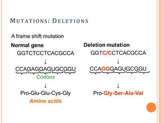 MUTATIONS: DELETIONS
A frame shift mutation
Normal gene
GGTCTCCTCACGCCA
↓
CCAGAGGAGUGCGGU
Codons
↓
Pro-Glu-Glu-Cys-Gly
Amino acids
Deletion mutation
GGTC/CCTCACGCCA
↓
CCAGGGAGUGCGGU
↓
Pro-Gly-Ser-Ala-Val
 