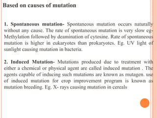 Based on causes of mutation
1. Spontaneous mutation- Spontaneous mutation occurs naturally
without any cause. The rate of spontaneous mutation is very slow eg-
Methylation followed by deamination of cytosine. Rate of spontaneous
mutation is higher in eukaryotes than prokaryotes. Eg. UV light of
sunlight causing mutation in bacteria.
2. Induced Mutation- Mutations produced due to treatment with
either a chemical or physical agent are called induced mutation . The
agents capable of inducing such mutations are known as mutagen. use
of induced mutation for crop improvement program is known as
mutation breeding. Eg. X- rays causing mutation in cereals
 