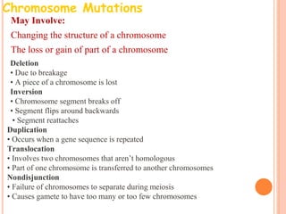 Chromosome Mutations
•May Involve:
•Changing the structure of a chromosome
•The loss or gain of part of a chromosome
•Deletion
•• Due to breakage
•• A piece of a chromosome is lost
•Inversion
•• Chromosome segment breaks off
•• Segment flips around backwards
• • Segment reattaches
Duplication
• Occurs when a gene sequence is repeated
Translocation
• Involves two chromosomes that aren’t homologous
• Part of one chromosome is transferred to another chromosomes
Nondisjunction
• Failure of chromosomes to separate during meiosis
• Causes gamete to have too many or too few chromosomes
 