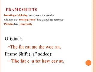 FRAMESHIFTS
•Inserting or deleting one or more nucleotides
•Changes the “reading frame” like changing a sentence
•Proteins built incorrectly
•Original:
–The fat cat ate the wee rat.
•Frame Shift (“a” added):
– The fat caa tet hew eer at.
 