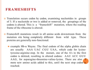 FRAMESHIFTS
 Translation occurs codon by codon, examining nucleotides in groups
of 3. If a nucleotide or two is added or removed, the groupings of the
codons is altered. This is a “frameshift” mutation, where the reading
frame of the ribosome is altered.
 Frameshift mutations result in all amino acids downstream from the
mutation site being completely different from wild type. These
proteins are generally non-functional.
⚫ example Hb-α Wayne. The final codons of the alpha globin chain
are usually AAA UAC CGU UAA, which code for lysine-
tyrosine-arginine-stop. In the mutant, one of the A’s in the first
codon is deleted, resulting in altered codons: AAU ACC GUU
AAG, for asparagine-threonine-valine-lysine. There are also 5
more new amino acids added to this, until the next stop codon is
reached.
 