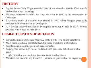 HISTORY
• English farmer Seth Wright recorded case of mutation first time in 1791 in male
lamb with unusual short legs.
• The term mutation is coined by Hugo de Vries in 1900 by his observation in
Oenothera
• Systematic study of mutation was started in 1910 when Morgan genetically
analyzed white eye mutant of Drosophila
• H. J. Muller induced mutation in Drosophila by using X- rays in 1927 ; he was
awarded with Nobel prize in 1946
CHARACTERISTICS OF MUTATION
• Generally mutant alleles are recessive to their wild type or normal alleles.
• Most mutations have harmful effect, but some mutations are beneficial
• Spontaneous mutations occurs at very low rate.
• Some genes shows high rate of mutation such genes are called as mutable
gene.
• Highly mutable sites within a gene are known as hot spots.
• Mutation can occur in any tissue/cell (somatic or germinal) of an organism.
 