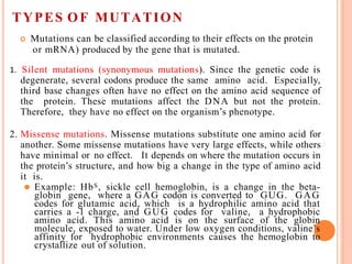 TYPES OF MUTATION
 Mutations can be classified according to their effects on the protein
or mRNA) produced by the gene that is mutated.
1. Silent mutations (synonymous mutations). Since the genetic code is
degenerate, several codons produce the same amino acid. Especially,
third base changes often have no effect on the amino acid sequence of
the protein. These mutations affect the DNA but not the protein.
Therefore, they have no effect on the organism’s phenotype.
2. Missense mutations. Missense mutations substitute one amino acid for
another. Some missense mutations have very large effects, while others
have minimal or no effect. It depends on where the mutation occurs in
the protein’s structure, and how big a change in the type of amino acid
it is.
⚫ Example: HbS, sickle cell hemoglobin, is a change in the beta-
globin gene, where a GAG codon is converted to GUG. GAG
codes for glutamic acid, which is a hydrophilic amino acid that
carries a -1 charge, and GUG codes for valine, a hydrophobic
amino acid. This amino acid is on the surface of the globin
molecule, exposed to water. Under low oxygen conditions, valine’s
affinity for hydrophobic environments causes the hemoglobin to
crystallize out of solution.
 
