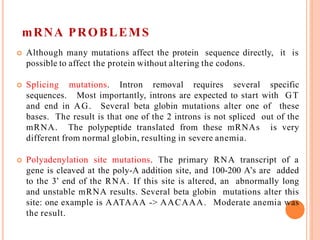 mRNA PROBLEMS
 Although many mutations affect the protein sequence directly, it is
possible to affect the protein without altering the codons.
 Splicing mutations. Intron removal requires several specific
sequences. Most importantly, introns are expected to start with GT
and end in AG. Several beta globin mutations alter one of these
bases. The result is that one of the 2 introns is not spliced out of the
mRNA. The polypeptide translated from these mRNAs is very
different from normal globin, resulting in severe anemia.
 Polyadenylation site mutations. The primary RNA transcript of a
gene is cleaved at the poly-A addition site, and 100-200 A’s are added
to the 3’ end of the RNA. If this site is altered, an abnormally long
and unstable mRNA results. Several beta globin mutations alter this
site: one example is AATAAA -> AACAAA. Moderate anemia was
the result.
 