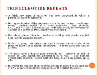 TRINUCLEOTIDE REPEATS
 A fairly new type of mutation has been described, in which a
particular codon is repeated.
 During replication, DNA polymerase can “stutter” when it replicates
several tandem copies of a short sequence. For example,
CAGCAGCAGCAG, 4 copies of CAG, will occasionally be converted to
3 copies or 5 copies by DNA polymerase stuttering.
 Outside of genes, this effect produces useful genetic markers called
SSR (simple sequence repeats).
 Within a gene, this effect can cause certain amino acids to be
repeated many times within the protein. In some cases this causes
disease.
 The Huntington’s disease gene normally has between 11 and 33
copies of CAG (codon for glutamine) in a row. The number
occasionally changes. People with HD have 37 or more copies, up to
200.
 Interestingly, the age of onset of the disease is related to the number
of CAG repeats present: the more repeats, the earlier the onset.
 
