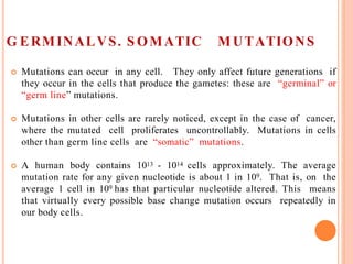 G ERMINALVS. S OMATIC M UTATIONS
 Mutations can occur in any cell. They only affect future generations if
they occur in the cells that produce the gametes: these are “germinal” or
“germ line” mutations.
 Mutations in other cells are rarely noticed, except in the case of cancer,
where the mutated cell proliferates uncontrollably. Mutations in cells
other than germ line cells are “somatic” mutations.
 A human body contains 1013 - 1014 cells approximately. The average
mutation rate for any given nucleotide is about 1 in 109. That is, on the
average 1 cell in 109 has that particular nucleotide altered. This means
that virtually every possible base change mutation occurs repeatedly in
our body cells.
 