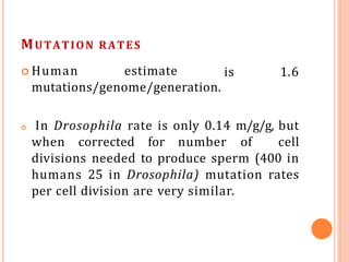 MUTATION RATES
 Human estimate
mutations/genome/generation.
is 1.6
 In Drosophila rate is only 0.14 m/g/g, but
when corrected for number of cell
divisions needed to produce sperm (400 in
humans 25 in Drosophila) mutation rates
per cell division are very similar.
 