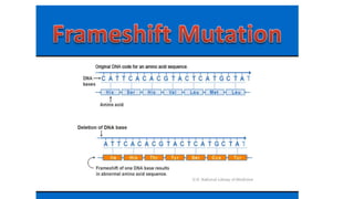 MUTATION.pptx learn different ways of mutation how does it happen