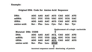MUTATION.pptx learn different ways of mutation how does it happen