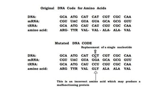 MUTATION.pptx learn different ways of mutation how does it happen