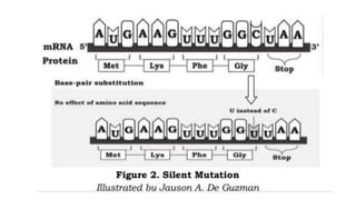 MUTATION.pptx learn different ways of mutation how does it happen
