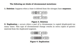 MUTATION.pptx learn different ways of mutation how does it happen