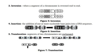 MUTATION.pptx learn different ways of mutation how does it happen