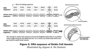 MUTATION.pptx learn different ways of mutation how does it happen