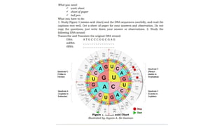 MUTATION.pptx learn different ways of mutation how does it happen