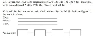MUTATION.pptx learn different ways of mutation how does it happen