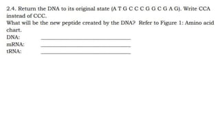 MUTATION.pptx learn different ways of mutation how does it happen