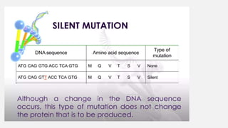 Mutation Its Types Andprinciples Relating To The Effects Of Gene