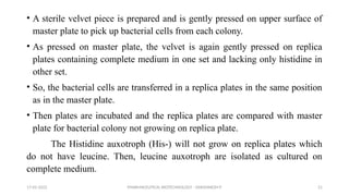 PHARMACEUTICAL BIOTECHNOLOGY - DAKSHINESH P 21
• A sterile velvet piece is prepared and is gently pressed on upper surface of
master plate to pick up bacterial cells from each colony.
• As pressed on master plate, the velvet is again gently pressed on replica
plates containing complete medium in one set and lacking only histidine in
other set.
• So, the bacterial cells are transferred in a replica plates in the same position
as in the master plate.
• Then plates are incubated and the replica plates are compared with master
plate for bacterial colony not growing on replica plate.
The Histidine auxotroph (His-) will not grow on replica plates which
do not have leucine. Then, leucine auxotroph are isolated as cultured on
complete medium.
17-02-2022
 