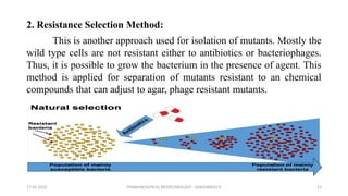PHARMACEUTICAL BIOTECHNOLOGY - DAKSHINESH P 23
2. Resistance Selection Method:
This is another approach used for isolation of mutants. Mostly the
wild type cells are not resistant either to antibiotics or bacteriophages.
Thus, it is possible to grow the bacterium in the presence of agent. This
method is applied for separation of mutants resistant to an chemical
compounds that can adjust to agar, phage resistant mutants.
17-02-2022
 