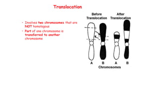 Translocation
• Involves two chromosomes that are
NOT homologous
• Part of one chromosome is
transferred to another
chromosome
 