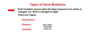 Types of Gene Mutations
Point mutation occurs when the base sequence of a codon is
changed. (ex. GCA is changed to GAA)
There are 3 types:
•Substitution
•Deletion
•Insertion
Also called
frameshift
mutations
 