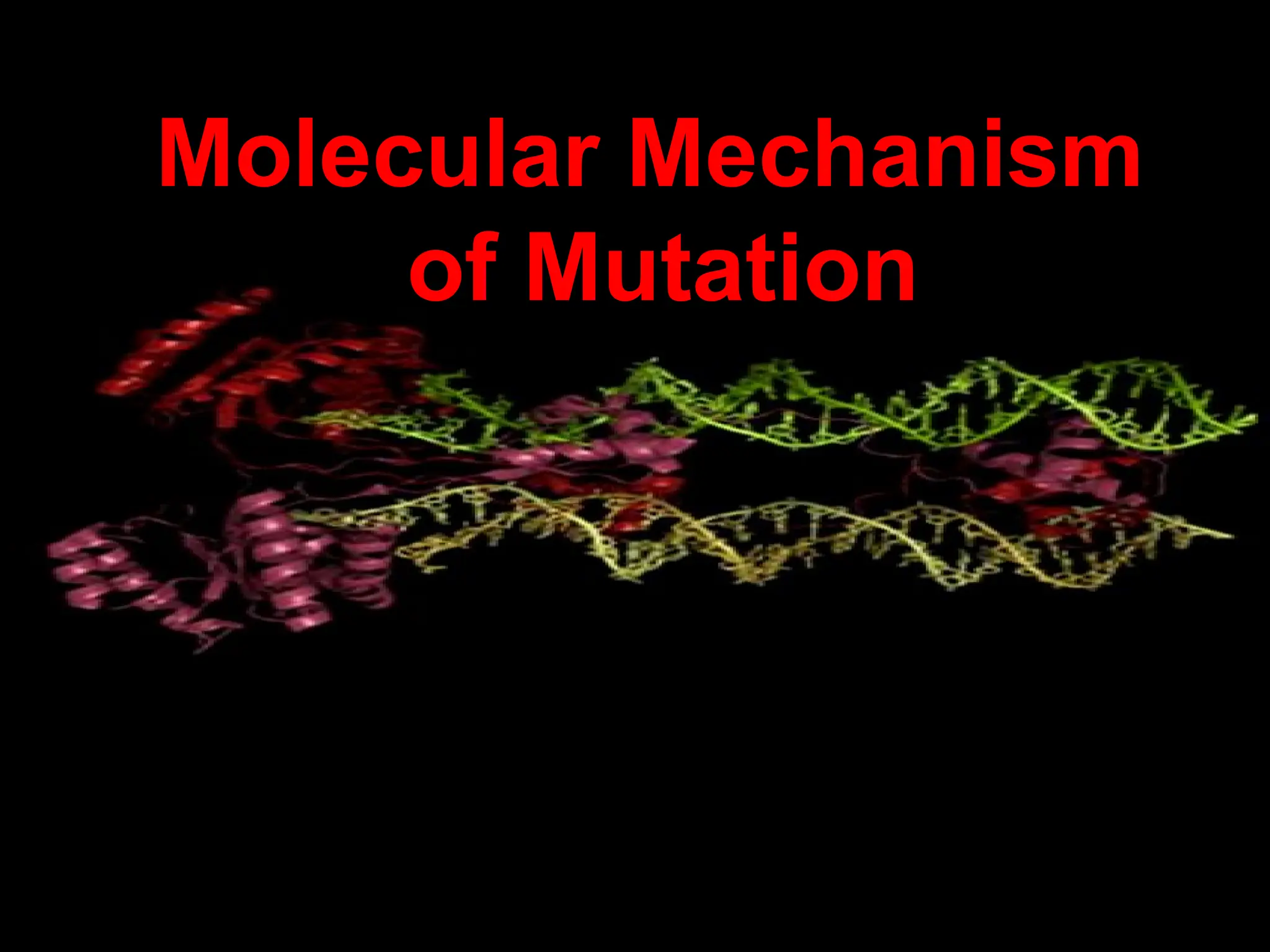 Molecular Mechanism
of Mutation
 
