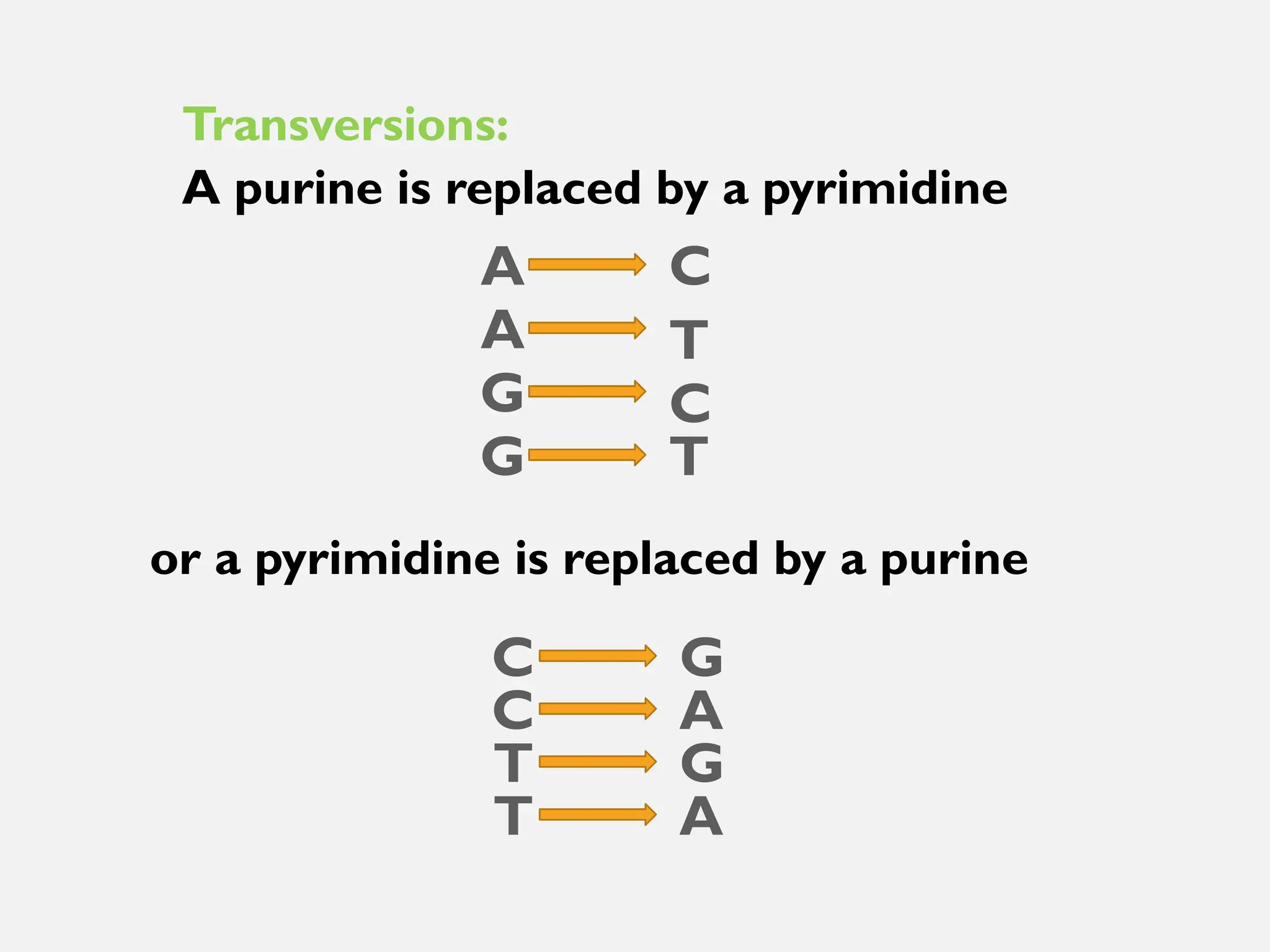 Transversions:
A purine is replaced by a pyrimidine
A
C
A
T
G
G
C
T
C
G
C
A
T G
T A
or a pyrimidine is replaced by a purine
 
