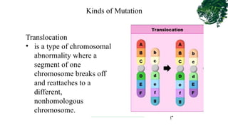 Chromosomal Mutation. PPT with discussion. | PPTX