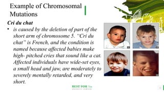 Chromosomal Mutation. PPT with discussion. | PPTX