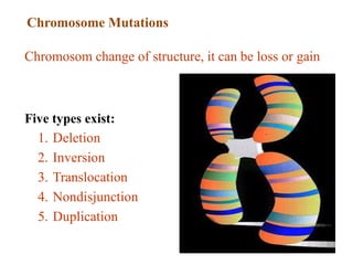 Genetic mutation ppt file from Mbeya university of science and ...