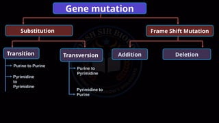 Transition Mutation Examples Comprehensive Overview of Genetic Mutations: Types, Causes, and Effects ...