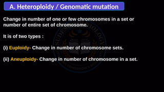 Heterotypy Comprehensive Overview of Genetic Mutations: Types, Causes, and Effects ...