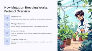 Mutation Breeding Examples Mutation Breeding: Revolutionizing Crop Improvement for Global Food ...