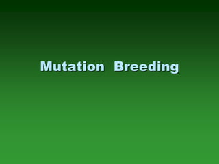 Mutation Breeding
 