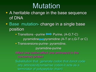 mutation-final.ppt