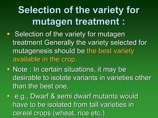 Part of the plant to be treated :
 Seeds, pollen grains, buds/cuttings or
complete plant can be used for
mutagenesis.
 I...