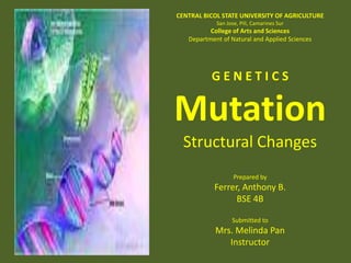 CENTRAL BICOL STATE UNIVERSITY OF AGRICULTURE
San Jose, Pili, Camarines Sur

College of Arts and Sciences
Department of Natural and Applied Sciences

GENETICS

Mutation
Structural Changes
Prepared by

Ferrer, Anthony B.
BSE 4B
Submitted to

Mrs. Melinda Pan
Instructor

 