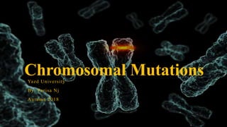 Chromosomal MutationsYazd University
By: Parisa Nj
Autumn 2018
 