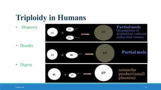Triploidy in Humans
October 2018 13
• Dispermy
• Diandry
• Digyny
 