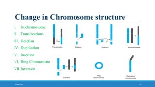 Change in Chromosome structure
October 2018 15
I. Isochromosome
II. Translocations
III. Deletion
IV. Duplication
V. Insertion
VI. Ring Chromosome
VII.Inversion
 