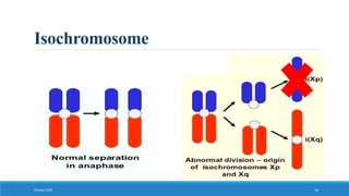 Isochromosome
October 2018 16
 