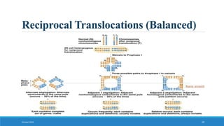 Reciprocal Translocations (Balanced)
October 2018 20
 
