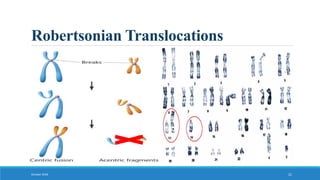Robertsonian Translocations
October 2018 21
 