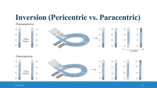 Inversion (Pericentric vs. Paracentric)
October 2018 30
 