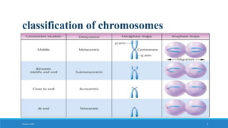 classification of chromosomes
October 2018 3
 