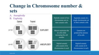 Change in Chromosome number &
sets
October 2018 5
A. Aneuploidy
B. Euploidy
 