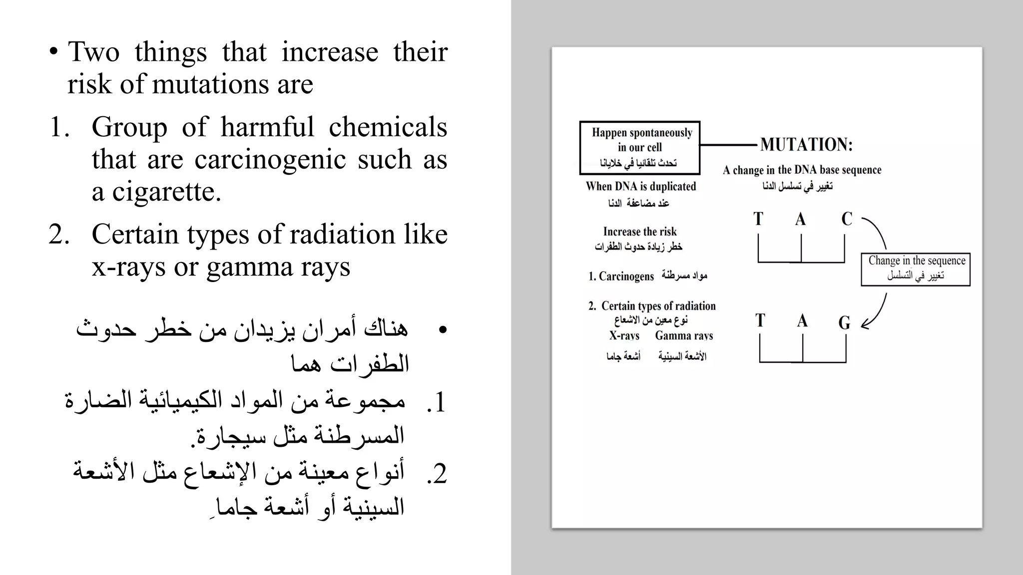 • Two things that increase their
risk of mutations are
1. Group of harmful chemicals
that are carcinogenic such as
a cigarette.
2. Certain types of radiation like
x-rays or gamma rays
•
‫حدوث‬ ‫خطر‬ ‫من‬ ‫يزيدان‬ ‫أمران‬ ‫هناك‬
‫هما‬ ‫الطفرات‬
.1
‫الضارة‬ ‫الكيميائية‬ ‫المواد‬ ‫من‬ ‫مجموعة‬
‫سيجارة‬ ‫مثل‬ ‫المسرطنة‬
.
.2
‫األشعة‬ ‫مثل‬ ‫اإلشعاع‬ ‫من‬ ‫معينة‬ ‫أنواع‬
ِ ‫جاما‬ ‫أشعة‬ ‫أو‬ ‫السينية‬
 