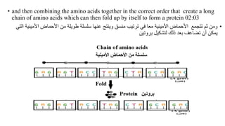 • and then combining the amino acids together in the correct order that create a long
chain of amino acids which can then fold up by itself to form a protein 02:03
•
‫األمي‬ ‫األحماض‬ ‫من‬ ‫طويلة‬ ‫سلسلة‬ ‫عنها‬ ‫وينتج‬ ‫منسق‬ ‫ترتيب‬ ‫في‬ ‫معا‬ ‫األمينية‬ ‫األحماض‬ ‫تتجمع‬ ‫ثم‬ ‫ومن‬
‫التي‬ ‫نية‬
‫بروتين‬ ‫لتشكيل‬ ‫ذلك‬ ‫بعد‬ ‫تضاعف‬ ‫أن‬ ‫يمكن‬
 